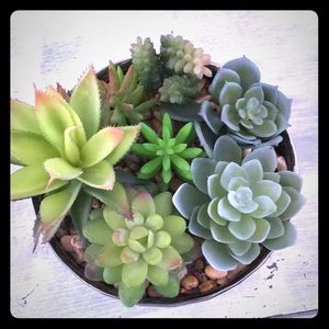 Meet your Posher, Kristin